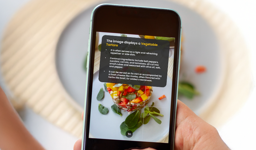 AI object recognition